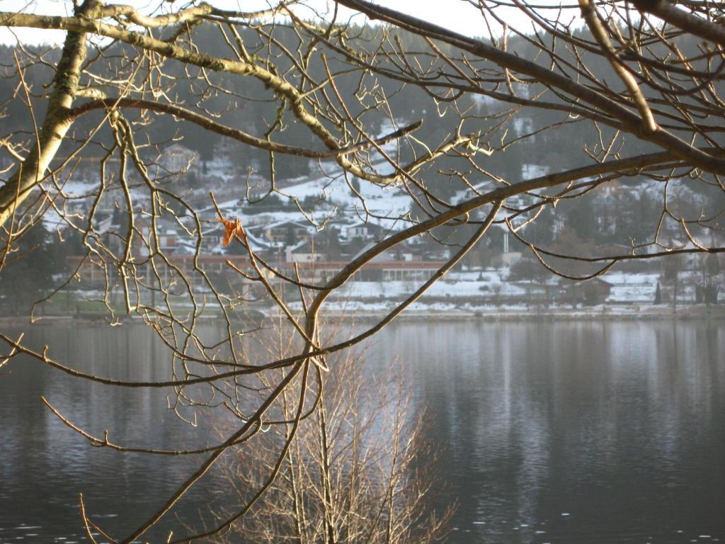 Hotel Restaurant De La Poste A Gerardmer Phòng bức ảnh